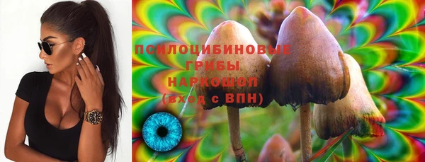 гашик Алексин