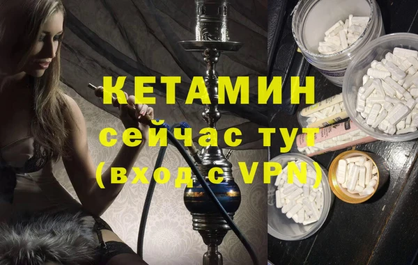 гашик Алексин
