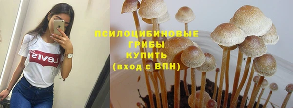 гашик Алексин