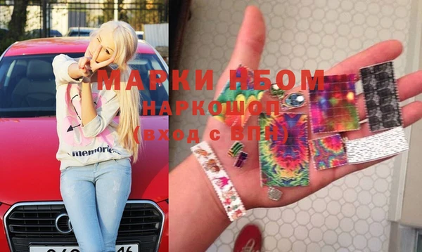прущие грибы Сатка