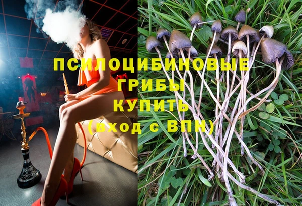 мяу мяу мука Алзамай
