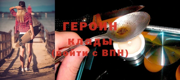 гашик Алексин