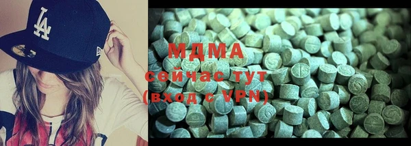гашик Алексин